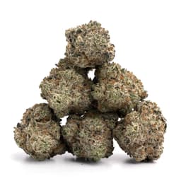 Nepalese Kush cannabis strain