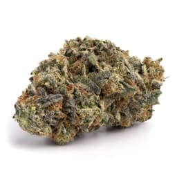 Nepali Pink cannabis strain
