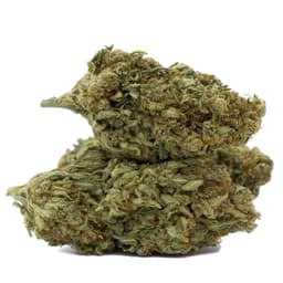 Neville's Haze cannabis strain