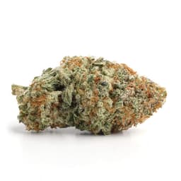 New Jack cannabis strain