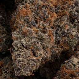 Nigerian Haze cannabis strain