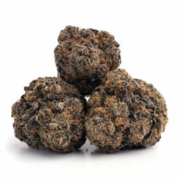 Night Cap cannabis strain