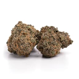 Northern Blueberry cannabis strain
