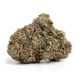 Northern Lights #1 cannabis strain
