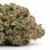 Northern Lights #2 cannabis strain