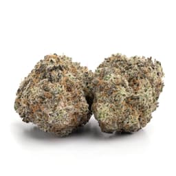 Northern Lights #5 x Haze cannabis strain