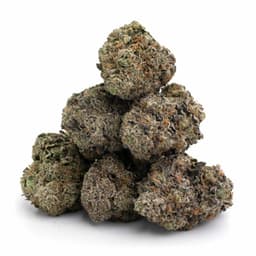 Nuggetry OG cannabis strain