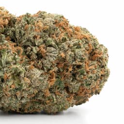 OG #18 cannabis strain