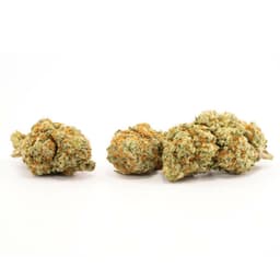OG Chem cannabis strain