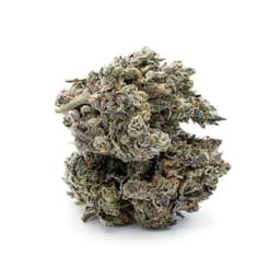 OG Kush X Nuken cannabis strain