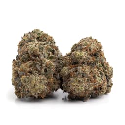 OG Runtz #14 cannabis strain