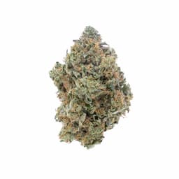 OGKB cannabis strain
