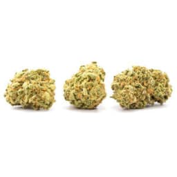 OGs Pearl cannabis strain