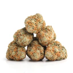 Ocean Grown Kush cannabis strain