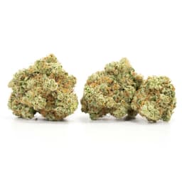 Ogre Berry cannabis strain