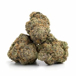 Ogre OG cannabis strain