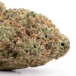 Ohio Lemon G cannabis strain