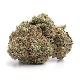 Old Family Purple cannabis strain