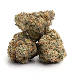 Old Purple cannabis strain