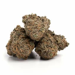 Old School Lemons cannabis strain