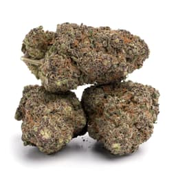 Old School OG cannabis strain