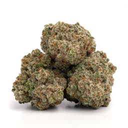 Orange Acai cannabis strain