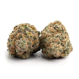 Sticky B cannabis strain