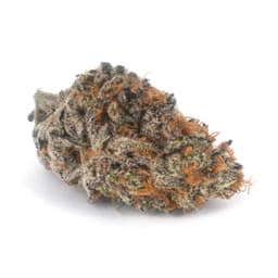Orange Zeta cannabis strain