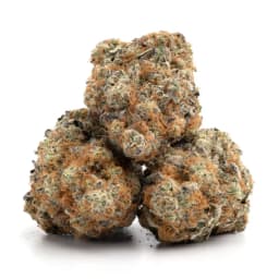 Orangecello cannabis strain