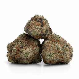 Pacoima Kush cannabis strain