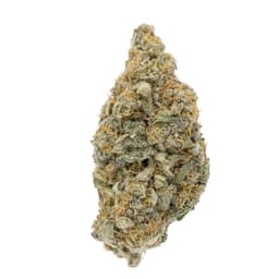 Palmdale Purple cannabis strain