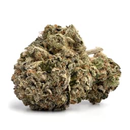 Papas OG cannabis strain