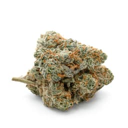 Paris OG cannabis strain