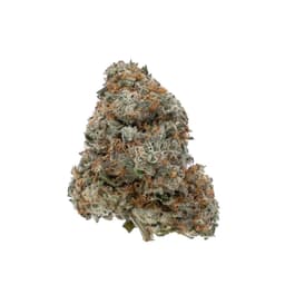 Peach Horchata cannabis strain