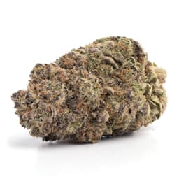 Peach Ozz cannabis strain