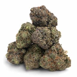 Peach Pie cannabis strain