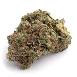Phantom OG cannabis strain