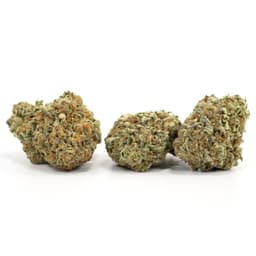 Phoenix OG cannabis strain