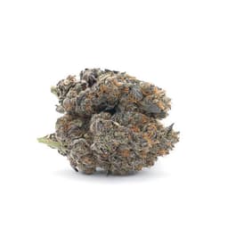 Pink Burst cannabis strain
