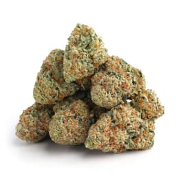 Pink Pearl cannabis strain