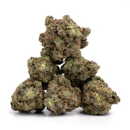Platinum Kush cannabis strain