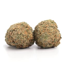Platinum White cannabis strain