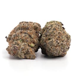 The Goop cannabis strain
