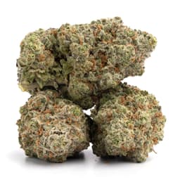 Poison Peaches cannabis strain