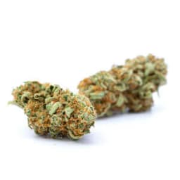 Private Reserve Cookies cannabis strain
