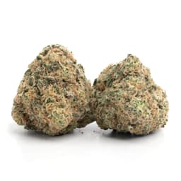 Punch Breath cannabis strain