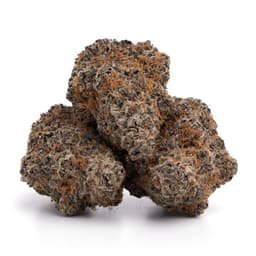 Pure Jack cannabis strain