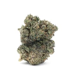 Purple Chemdawg cannabis strain