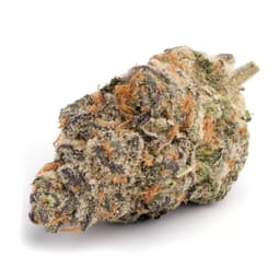Purple Cough cannabis strain