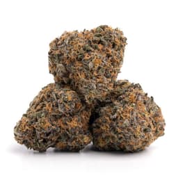 Purple Elephant cannabis strain